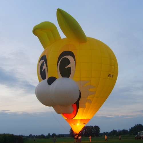 luchtballon OO-BXV Funny Bunny